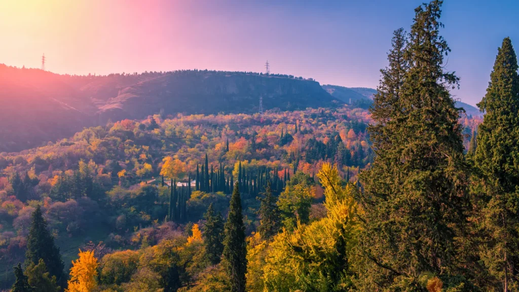 الحديقة النباتية الوطنية جورجيا